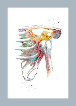 A mikrokeringés javítása az ízületi és izomszövetekben